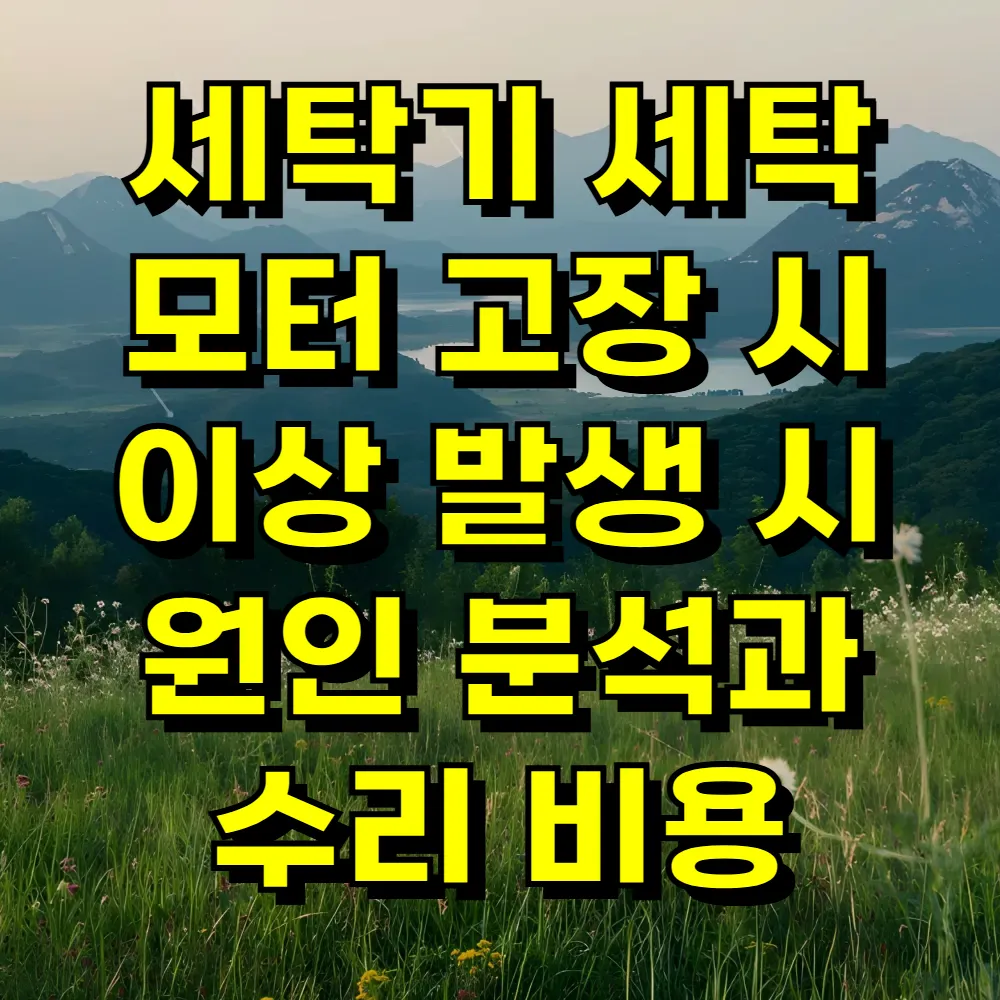 세탁기 세탁 모터 고장 시 이상 발생 시 원인 분석과 수리 비용