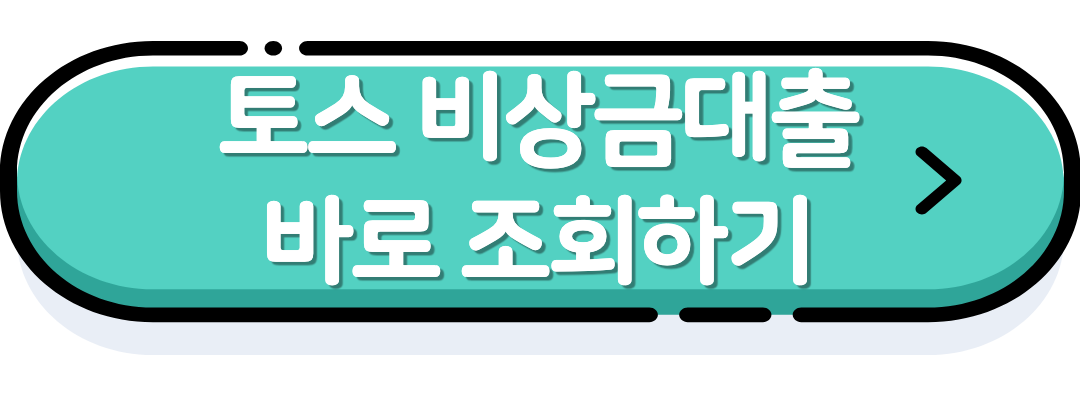 비상금대출