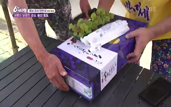 [마이크를 잡아라] 궁평항 수산물 센터 (경기 화성) .ts_20220906_205316.493.jpg