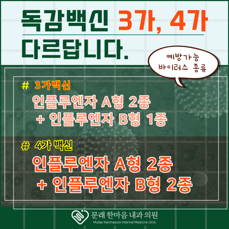 독감 백신 3가와 4가의 차이점