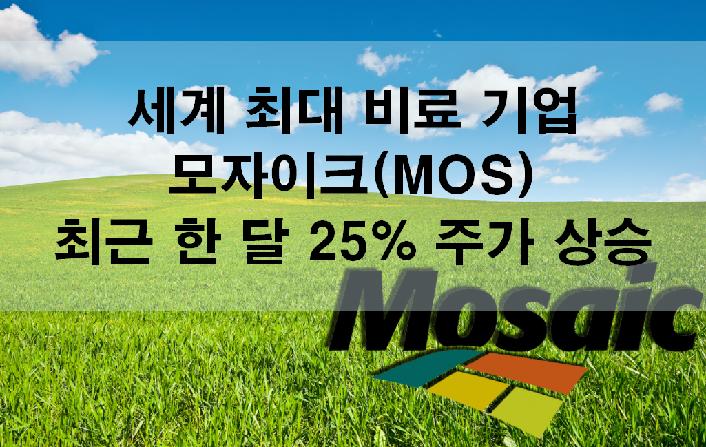 모자이크-mosaic-mos