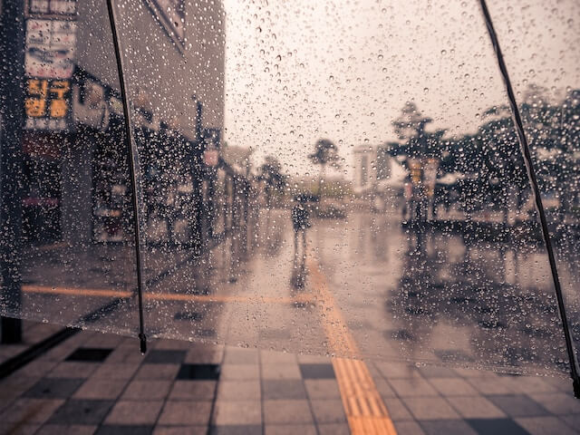 장마시기