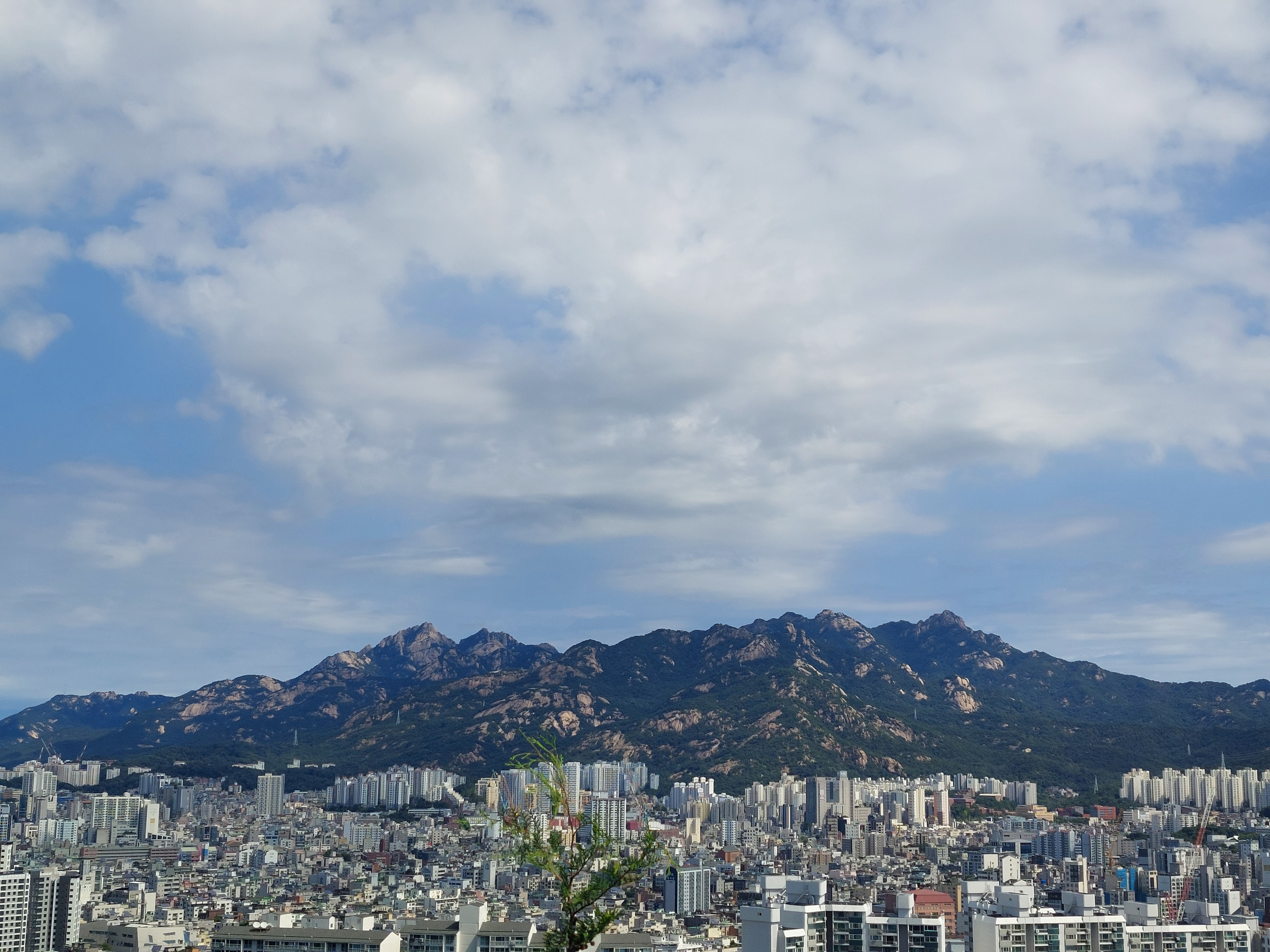 봉산앵봉산
