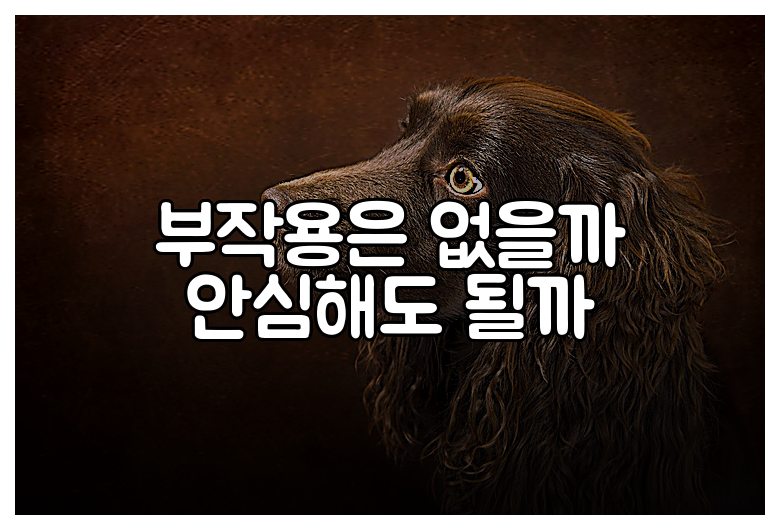 부작용은 없을까 안심해도 될까