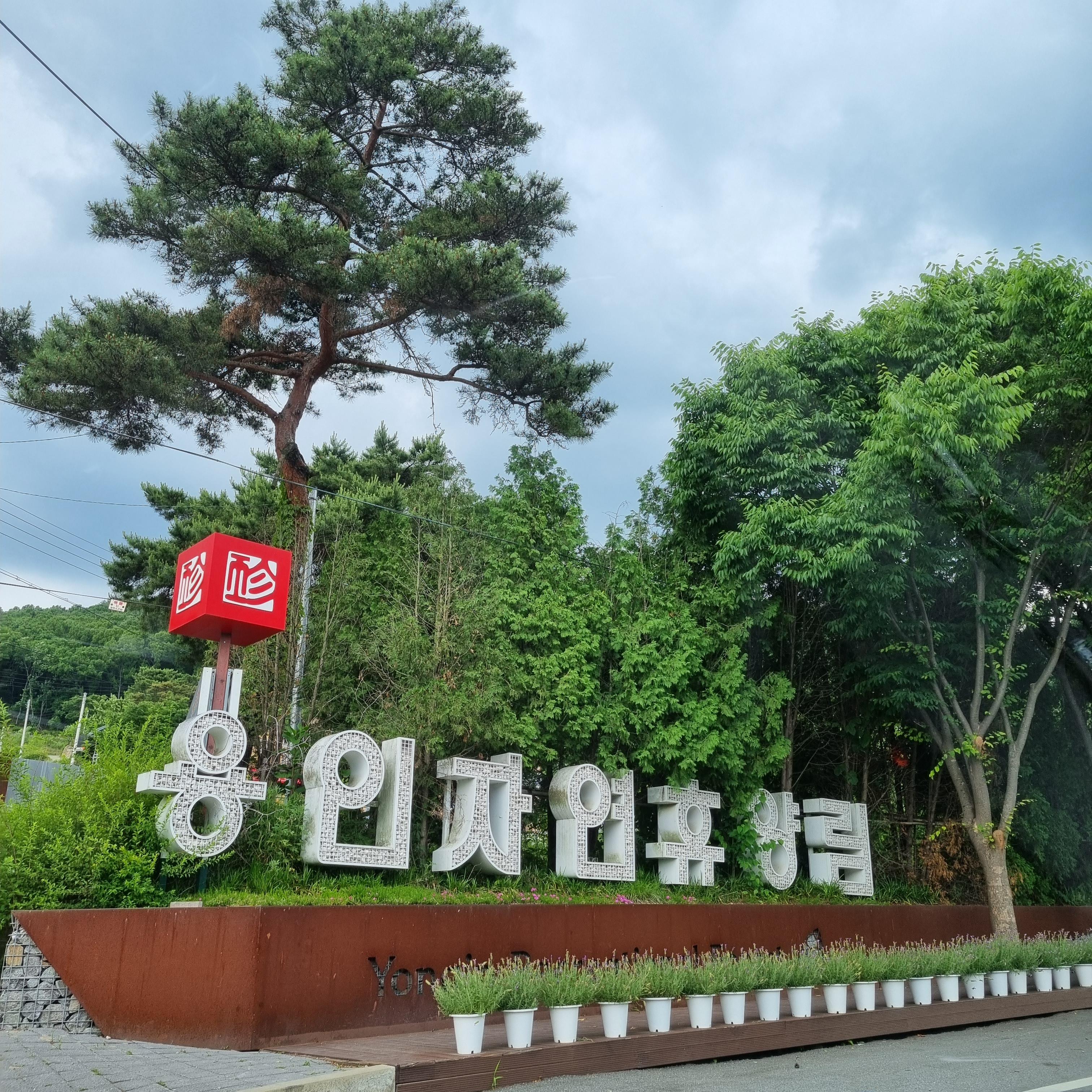용인자연휴양림