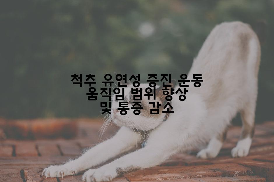 척추 유연성 증진 운동 움직임 범위 향상 및 통증 감소