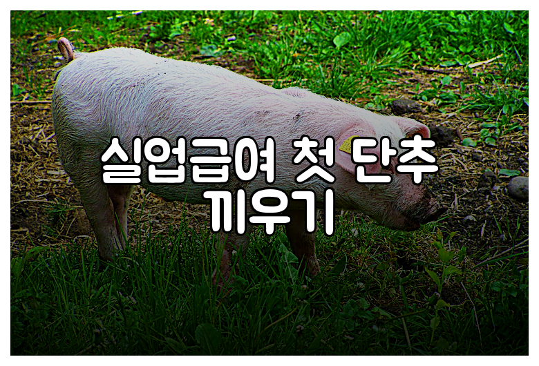실업급여 첫 단추 끼우기