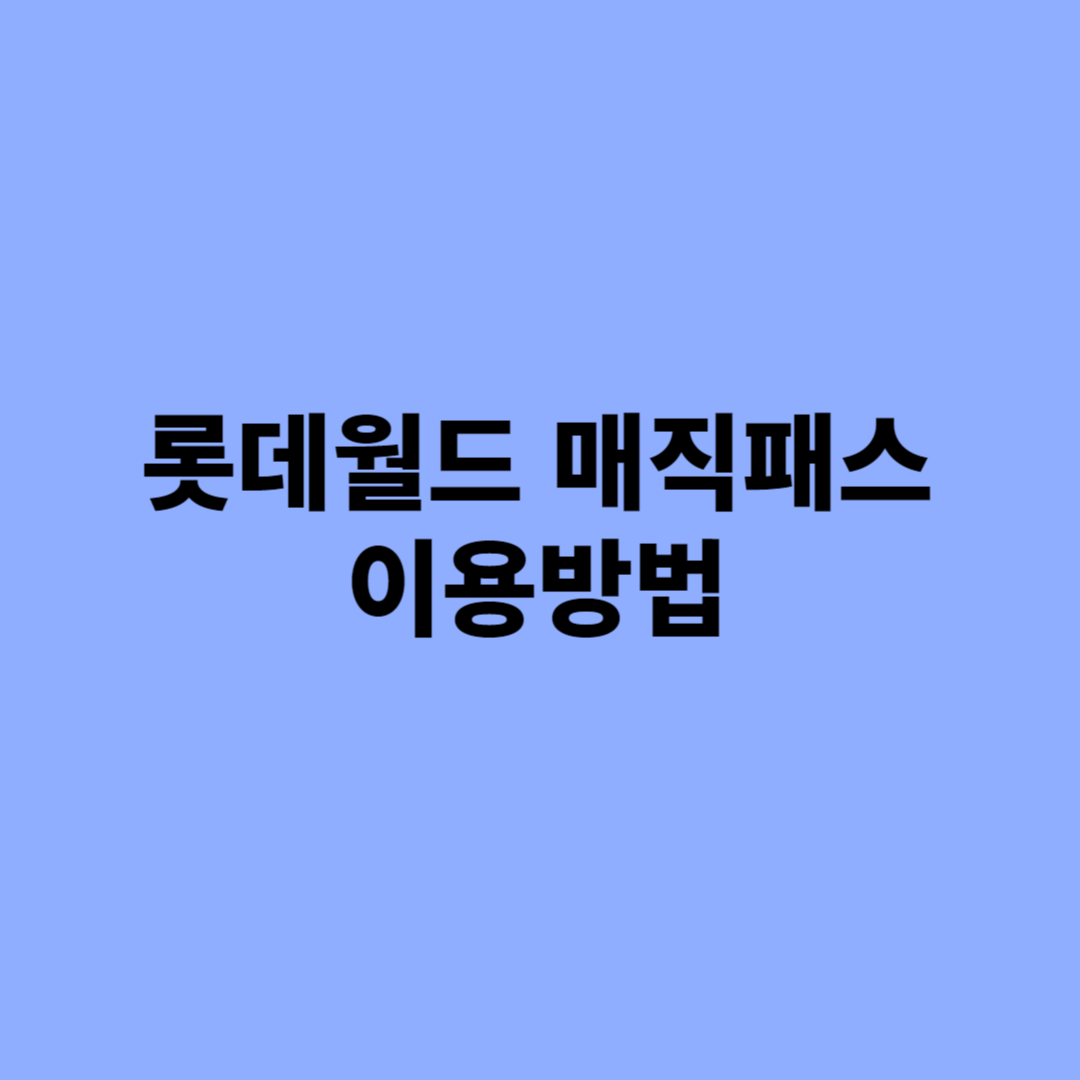 롯데월드 매직패스