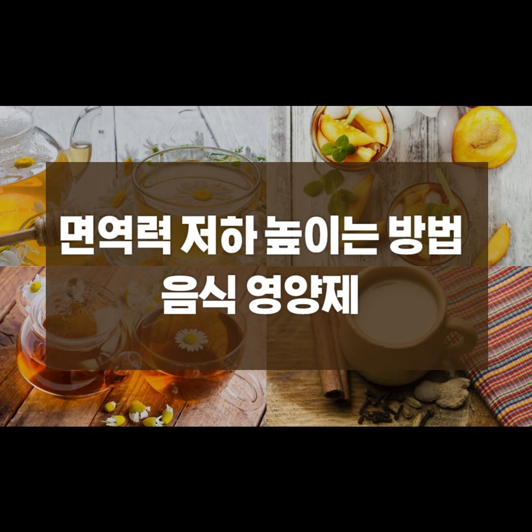  면역력 저하 높이는 방법 음식 영양제 광동 맑은 365 면역 보감
