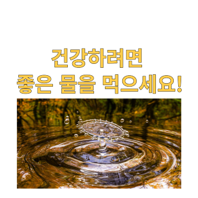 물만 먹어도 건강을 지킬 수 있어요!