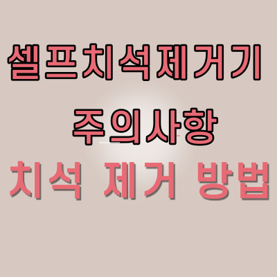  셀프 치석 제거기 주의사항 및 셀프로 치석 제거하는 방법