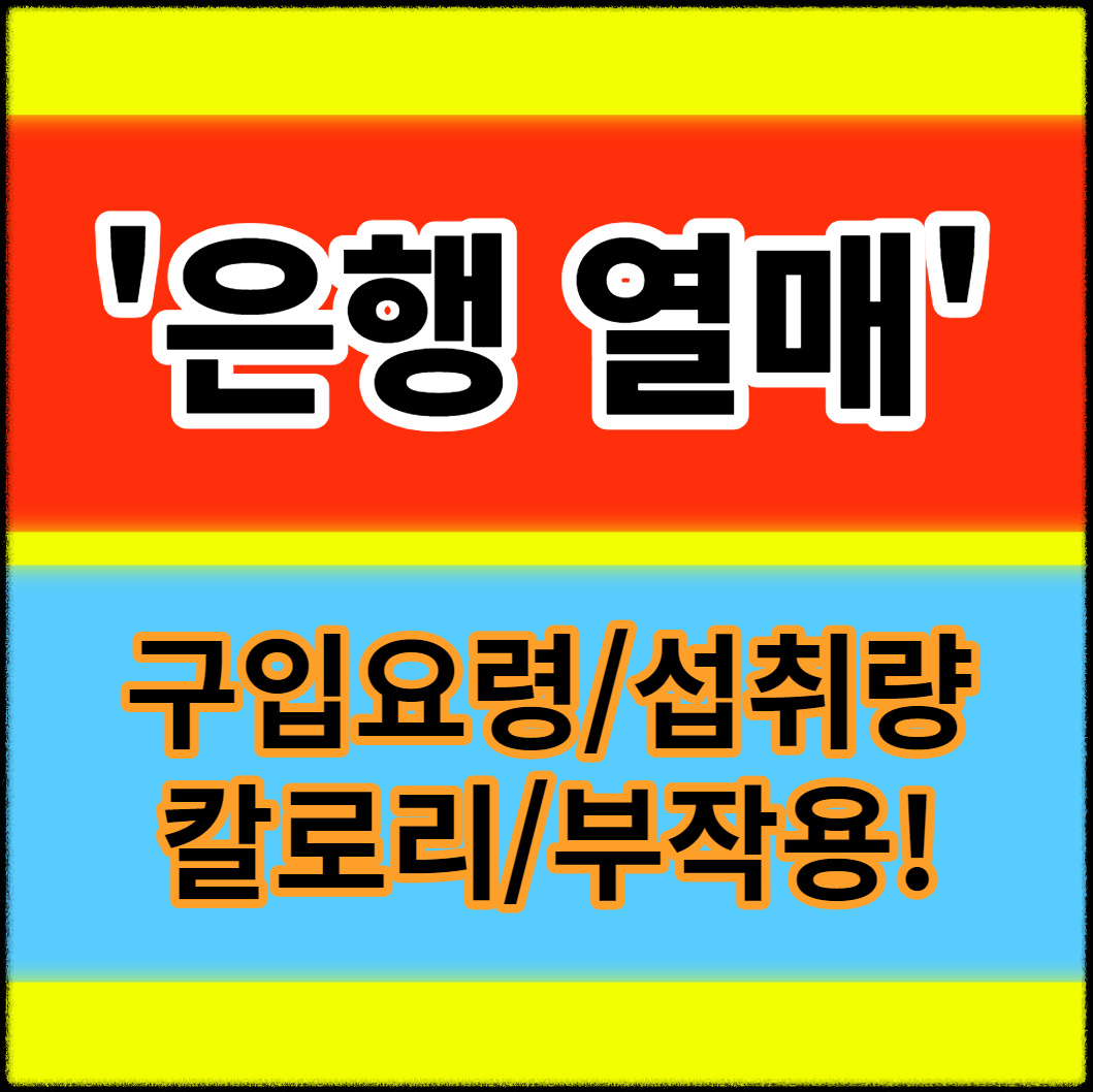 은행의 효능