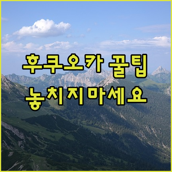 후쿠치야마 여행 꿀팁 대방출 놓치면 