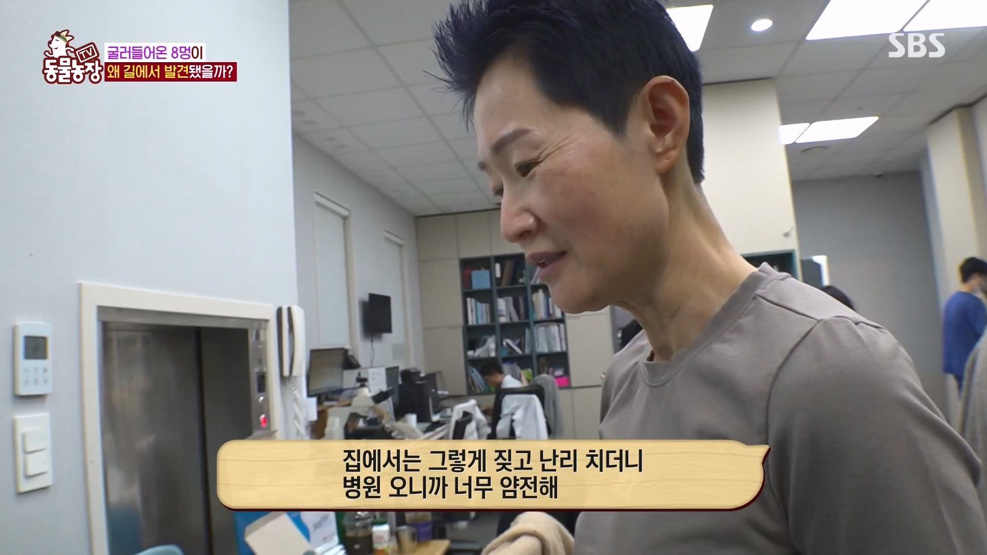 TV 동물농장.E1164.240324p-NEXT.mp4_20240324_172336.623.jpg