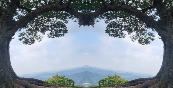 하트모양