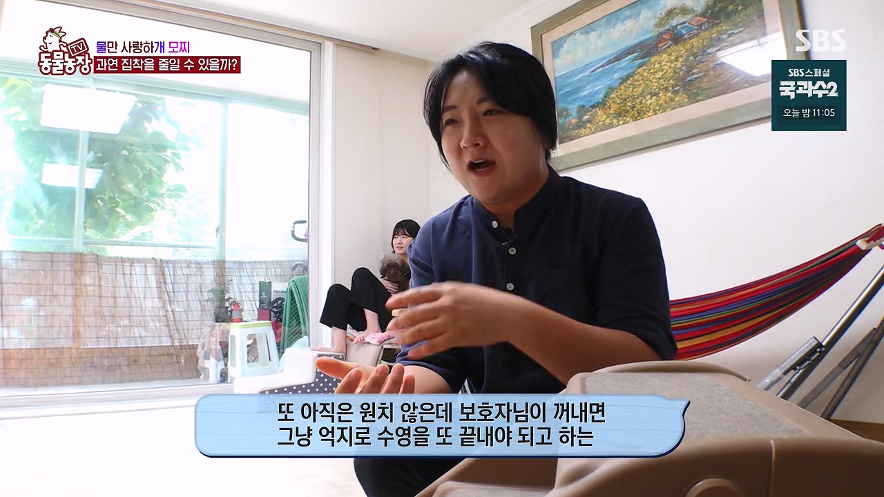 TV 동물농장.E1137.230911p-NEXT.mp4_20230910_183208.426.jpg
