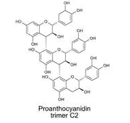 피크노제놀 (Pycnogenol)