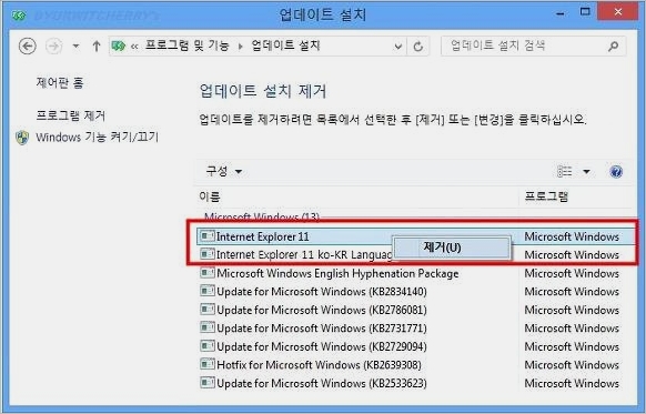 인터넷 익스플로러 11 인터넷 익스플로러 11