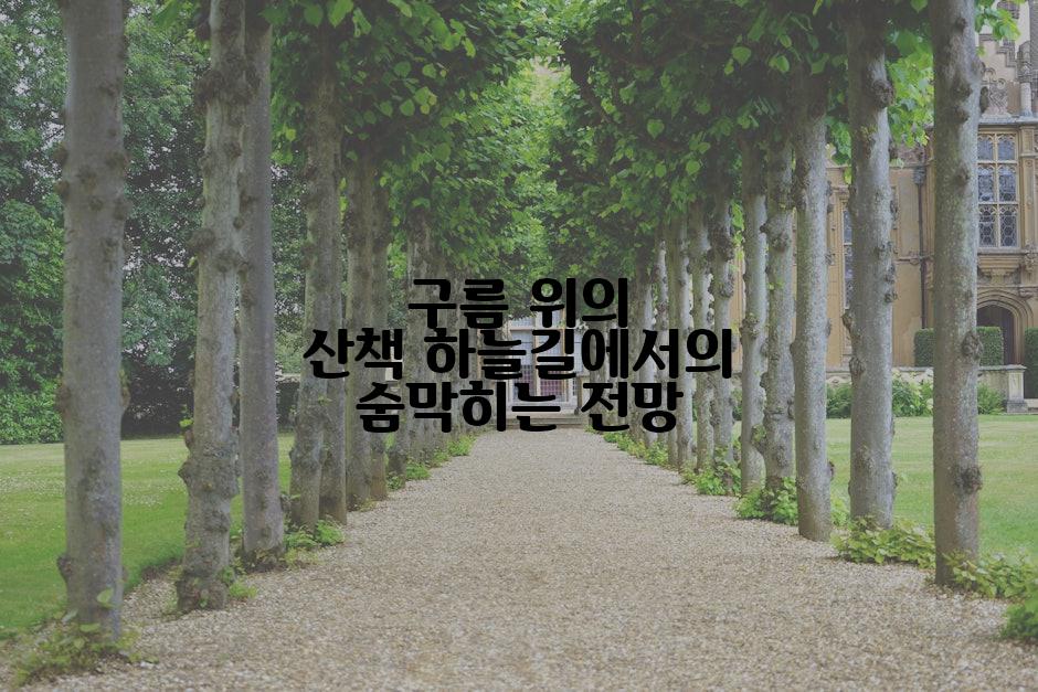 구름 위의 산책 하늘길에서의 숨막히는 전망