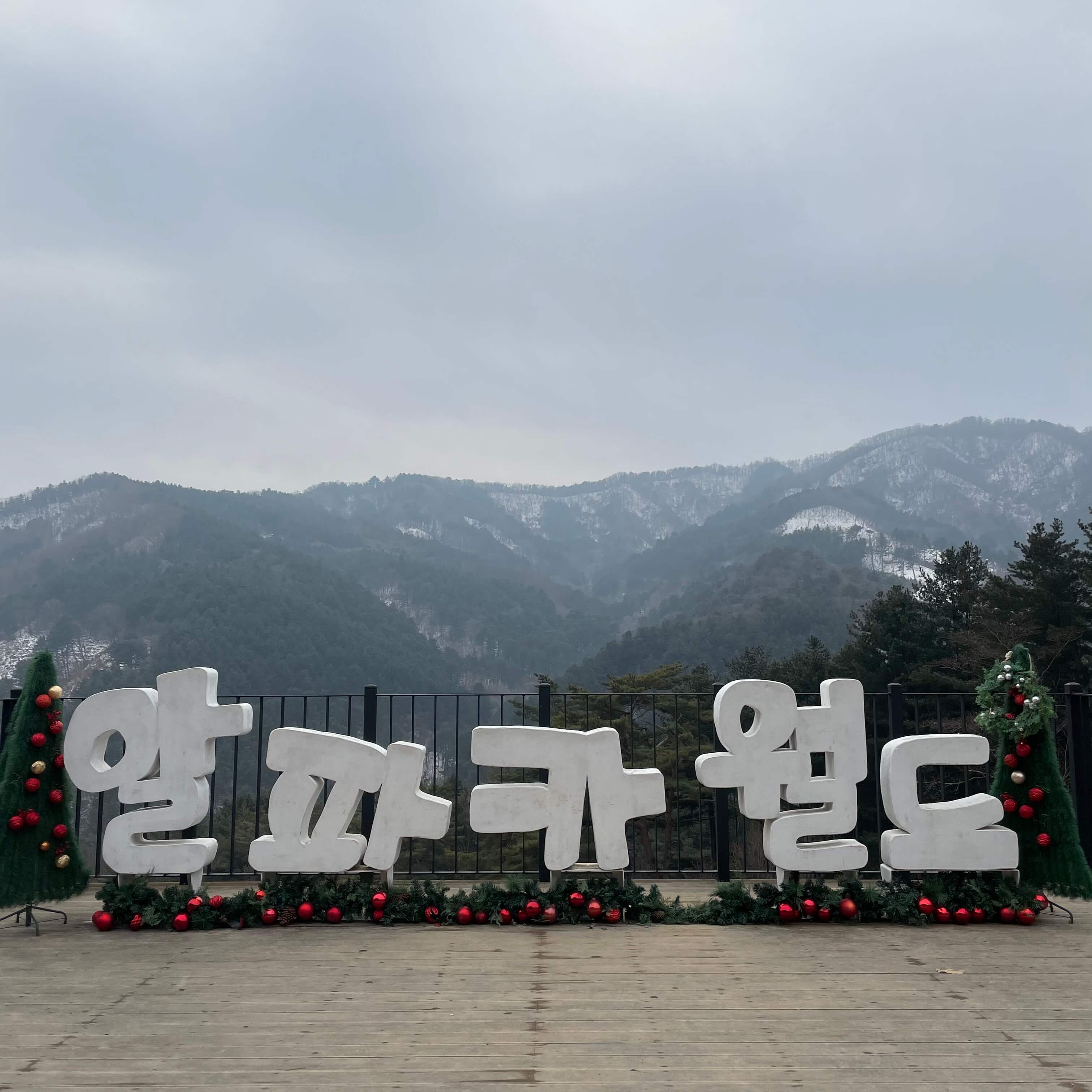  [강원도-홍천] 가볼 만한 곳-이색 데이트, 가족 여행 :: 알파카월드