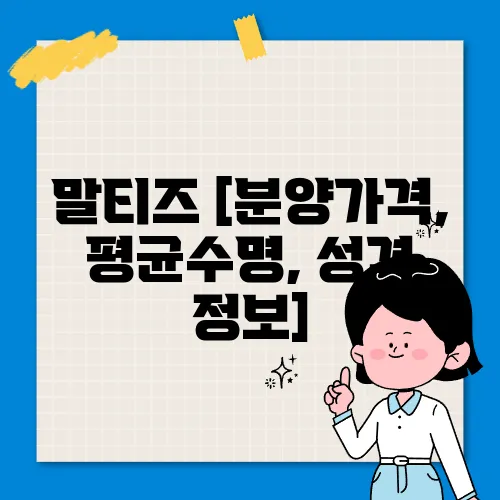 말티즈 [분양가격, 평균수명, 성격 정보]