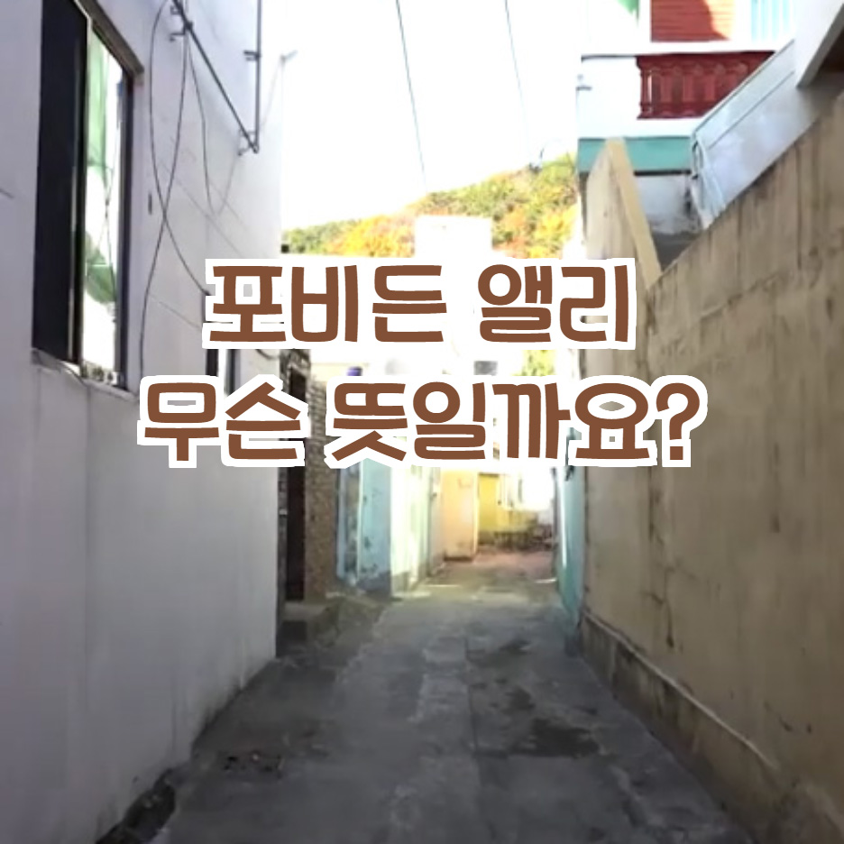  포비든 앨리 뜻 알려드려요.