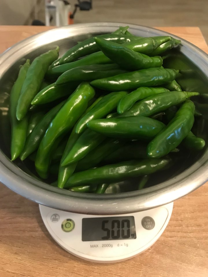  삭힌 고추 고추지 만들기
