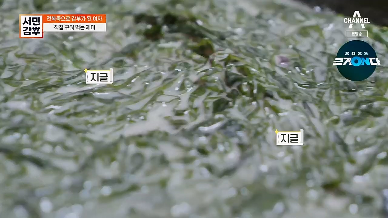 서민갑부.E425.230305p.H264-F1RST.mp4_20230305_175148.460.jpg