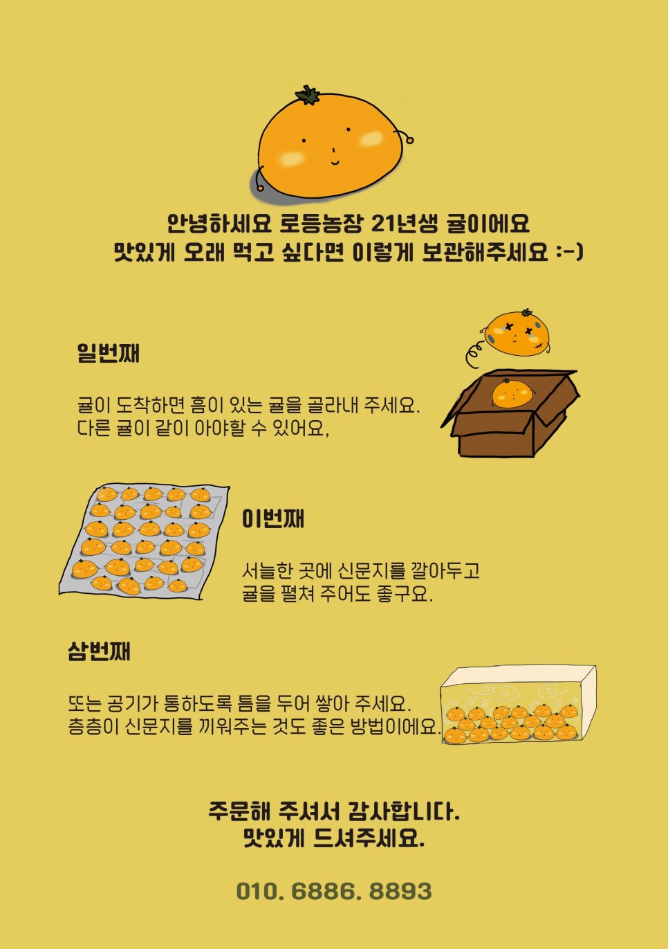 제주 감귤 10kg 맛있는 제주 감귤 10kg# 8