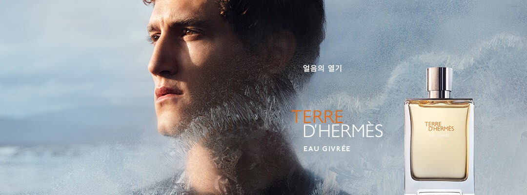 에르메스 떼르 드 에르메스 (Hermes Terre d&#39;Hermes)