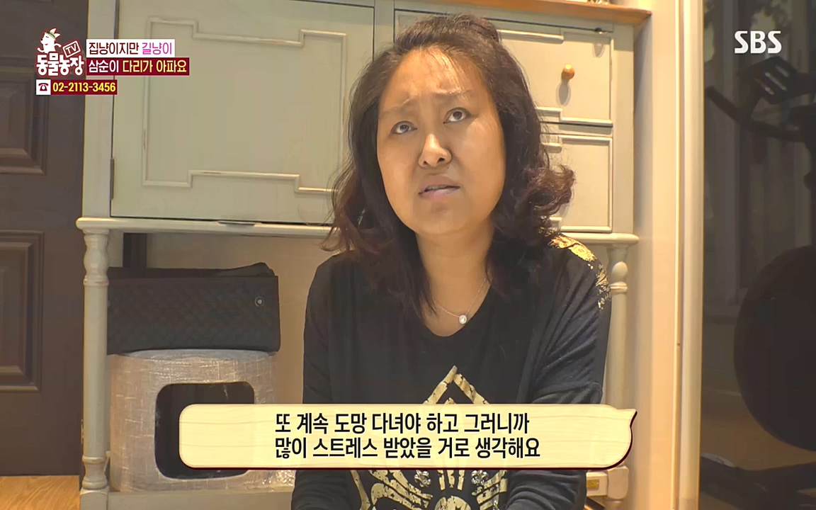 TV 동물농장.E1090.221010p-NEXT.mp4_20221009_182029.108.jpg