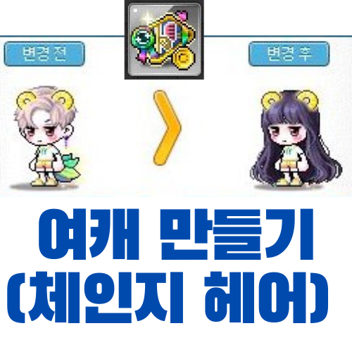  [메이플스토리] 체인지 로얄 헤어쿠폰 사용하기 (남캐 -> 여캐?)