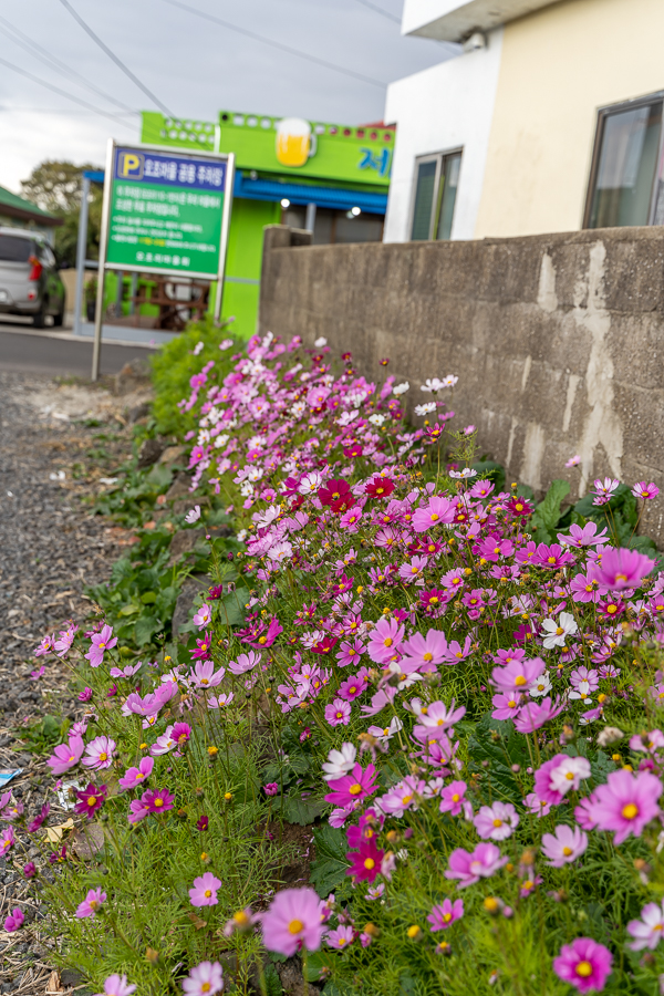 해물 라면 맛집 15