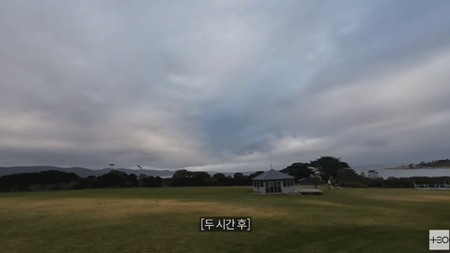 팽귄호텔4