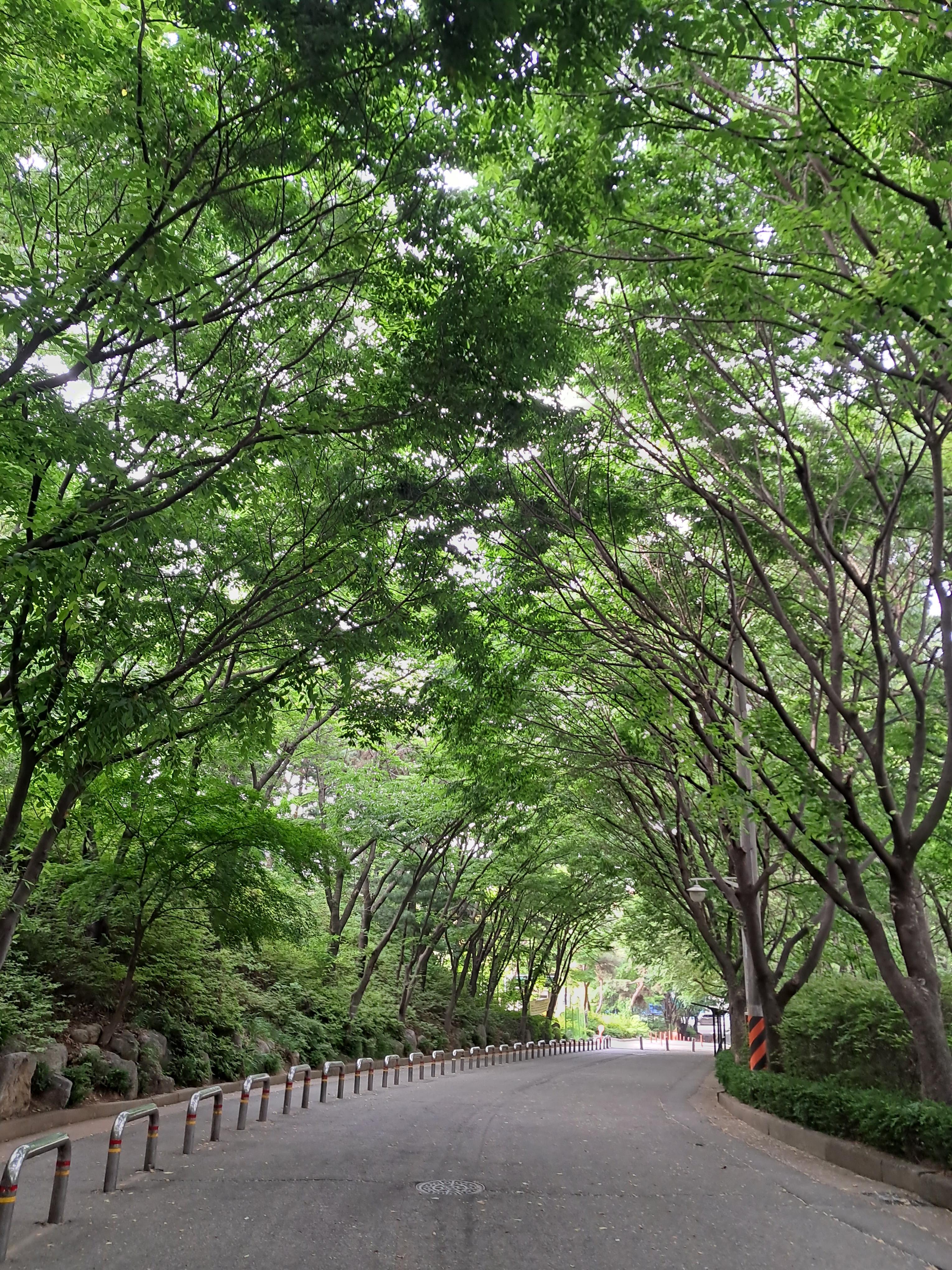 인천숲길 계양근린공원