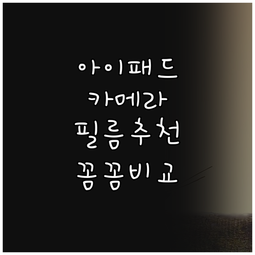 아이패드 카메라 렌즈 보호 필름 구매