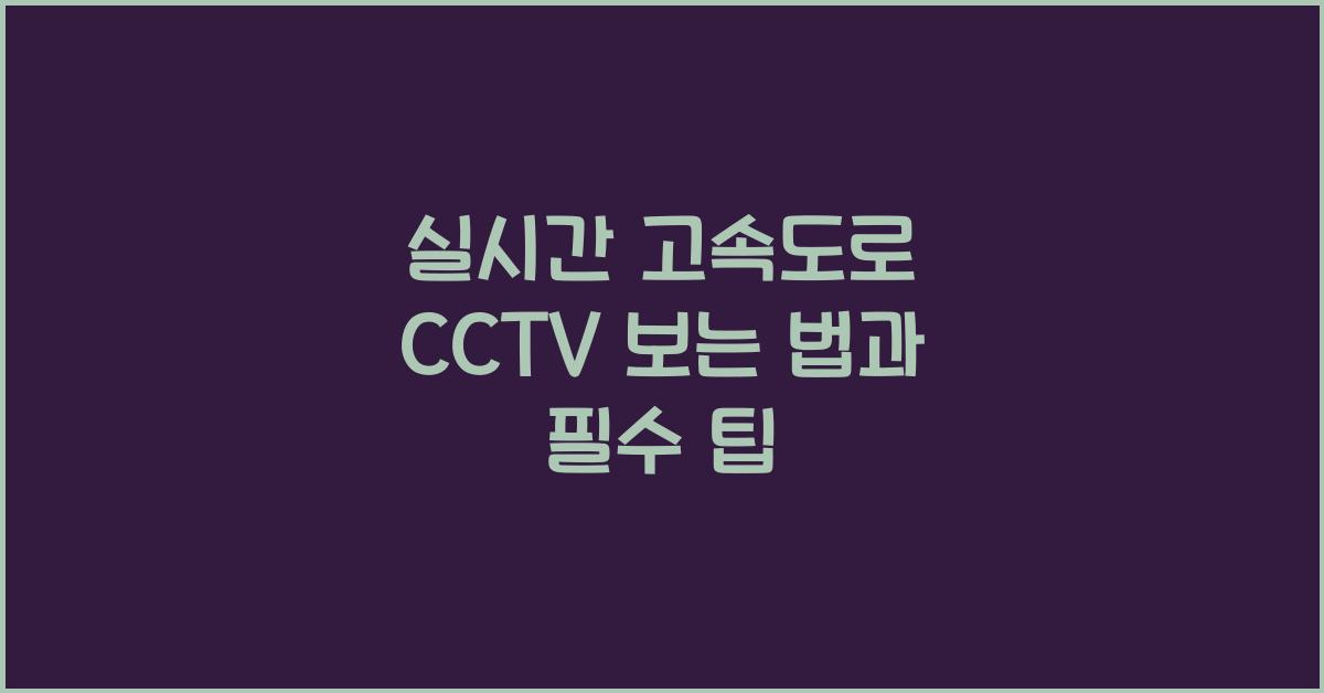 실시간 고속도로 cctv 보는 법