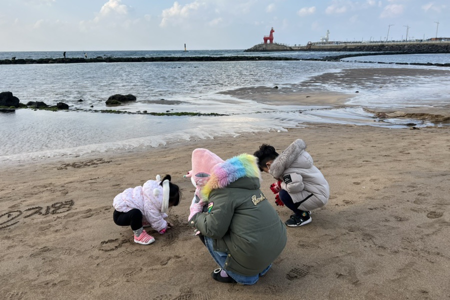 선택 비교후 13