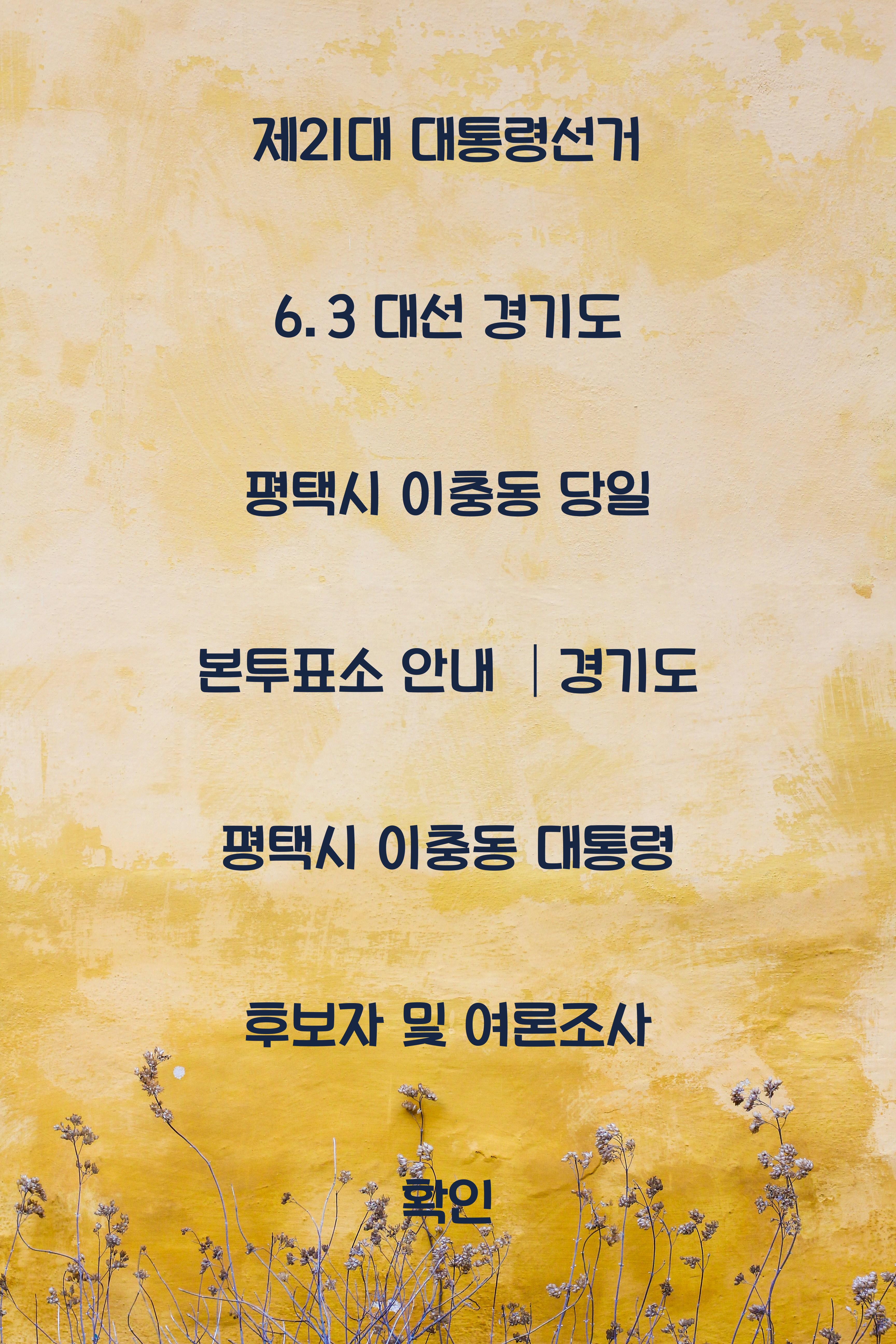 제21대 대통령선거 6.3 대선 경기도 평택시 이충동 당일 본투표소 안내 │경기도 평택시 이충동 대통령 후보자 및 여론조사 확인