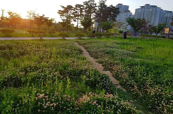 운정호수공원