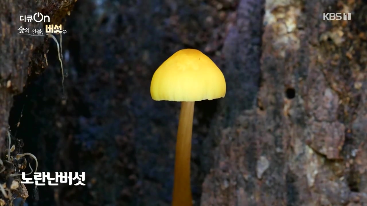 다큐 온.E227.231120p-NEXT.mp4_20231121_201836.942.jpg