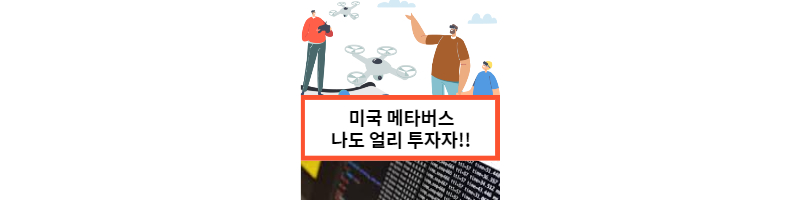 미국 메타버스 투자