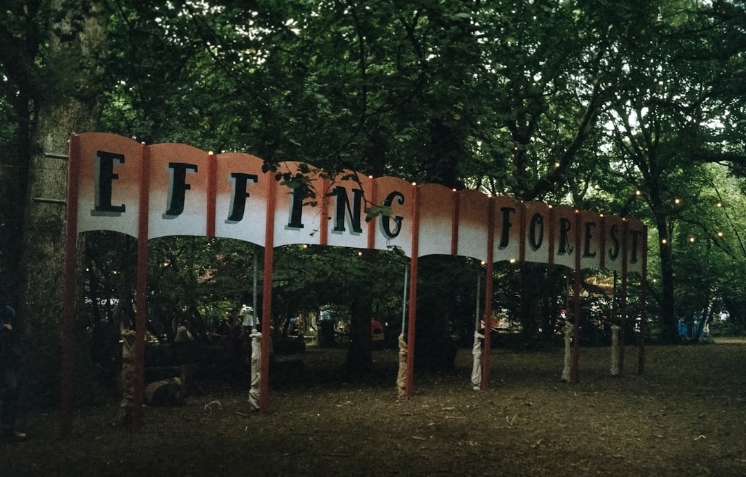 Pet Festival
