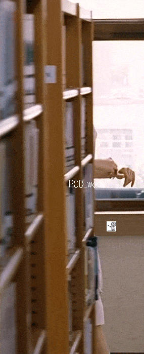 img.gif