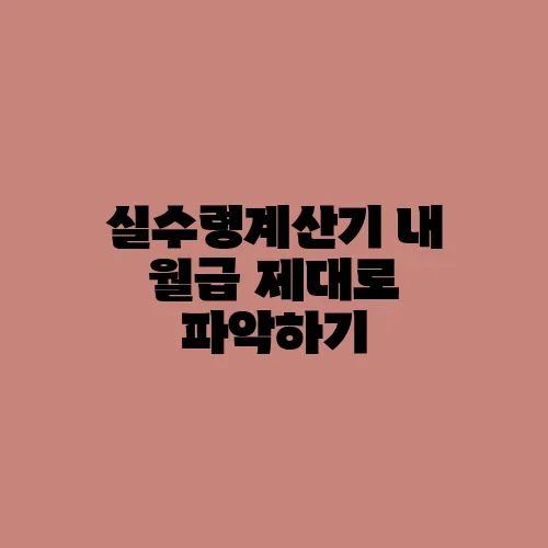 실수령계산기 내 월급 제대로 파악하기