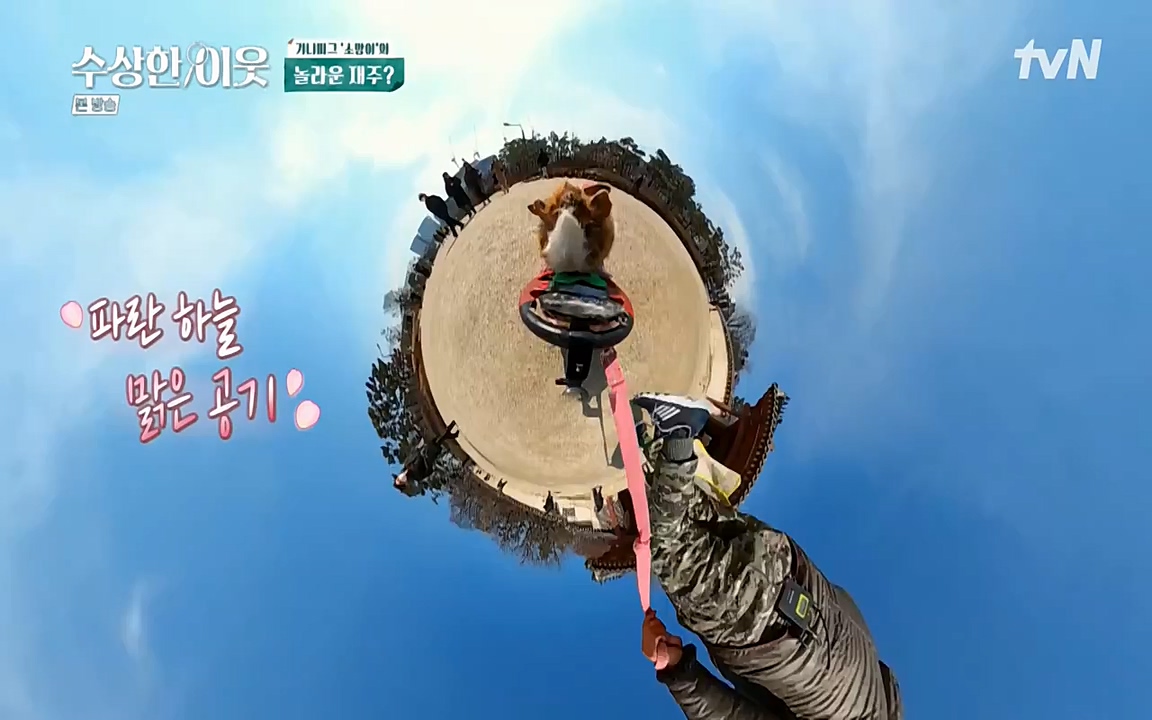 수상한 이웃.E02.220408p-NEXT.mp4_20220409_180950.120.jpg