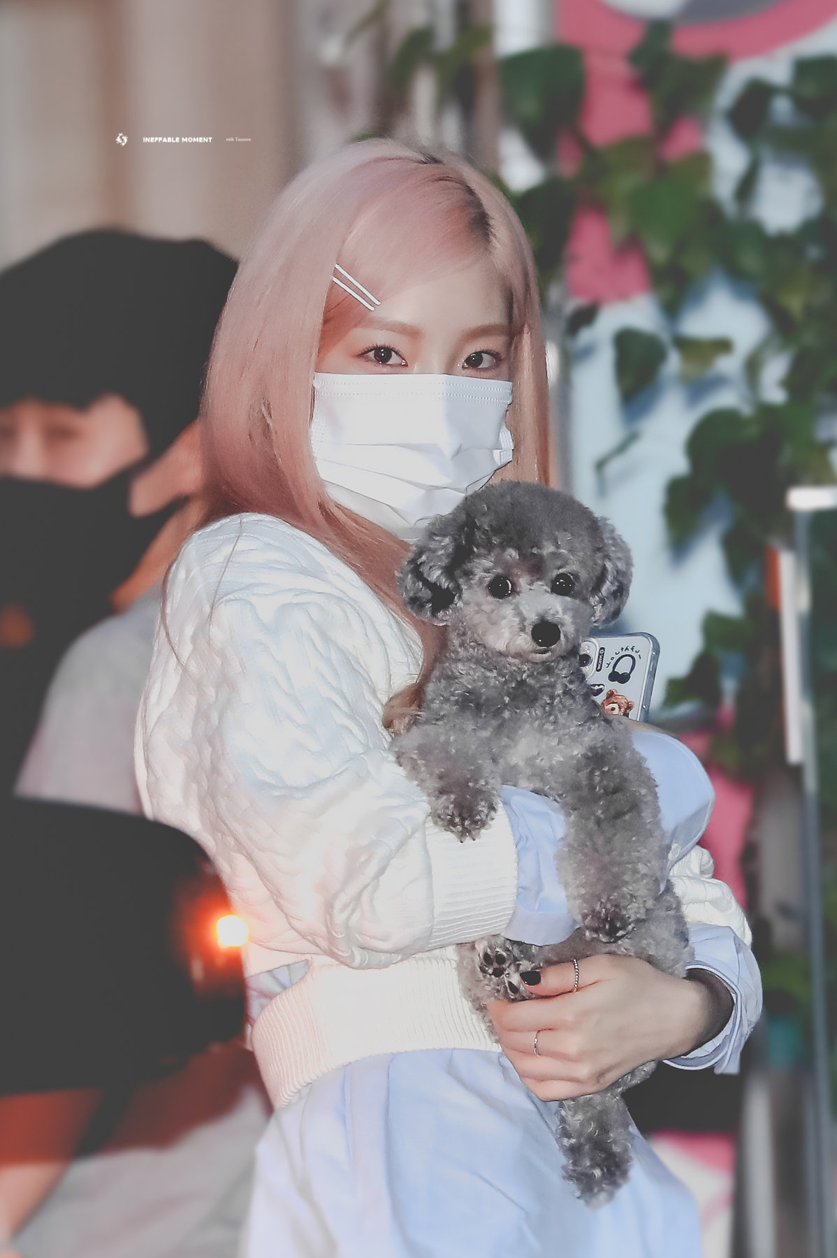 수투 이미지