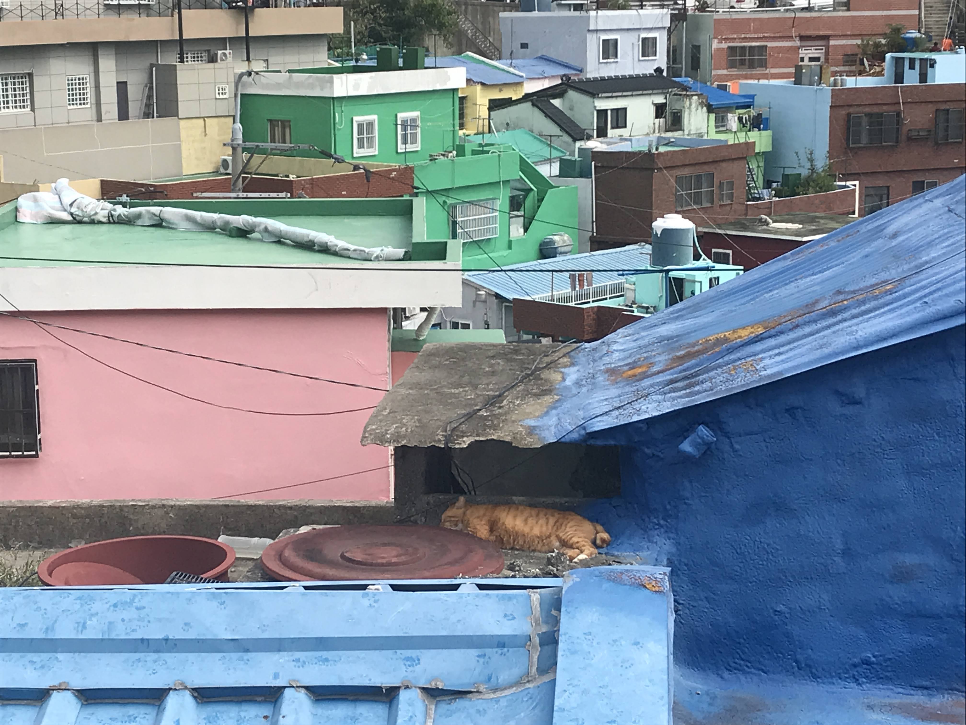 부산 여행지 추천 : 감천 문화마을-45