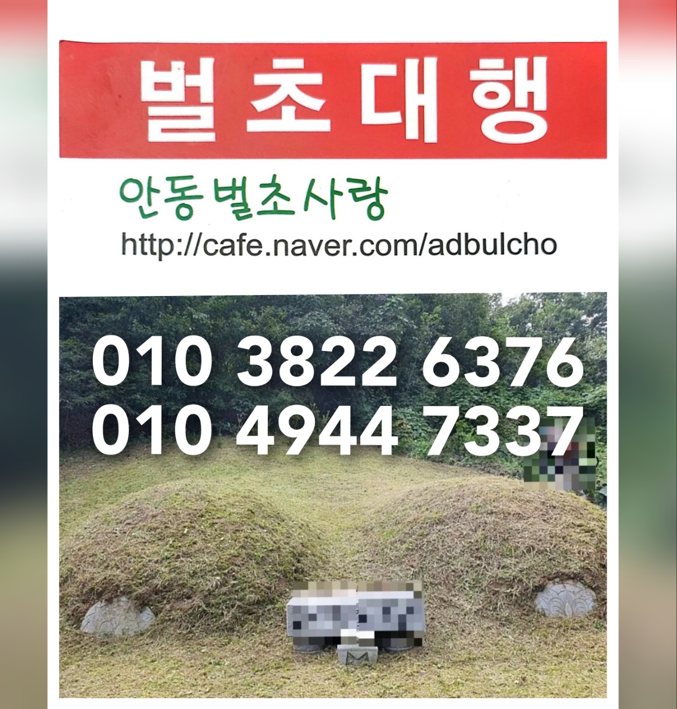 벌초사랑