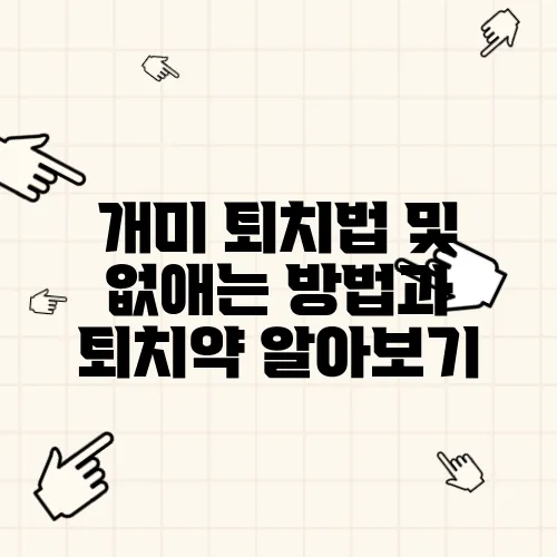 개미 퇴치법 및 없애는 방법과 퇴치약 알아보기